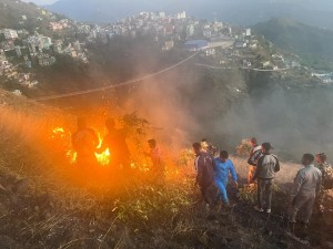 सल्लेमा लागेको आगो नियन्त्रणमा 